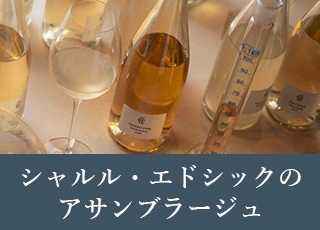 シャルル・エドシックのアサンブラージュ