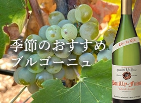 季節のおすすめブルゴーニュ