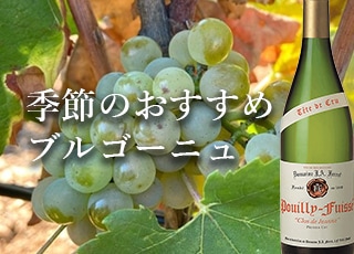 季節のおすすめブルゴーニュ