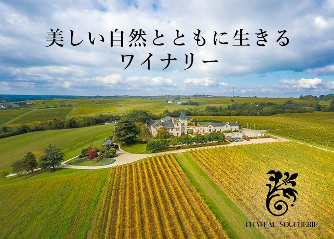 シャトー・スーシュリー｜Your Cellar（ユアセラー）｜日本リカー公式