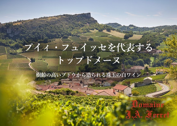 ドメーヌ J.A. フェレ｜Your Cellar（ユアセラー）｜日本リカー公式