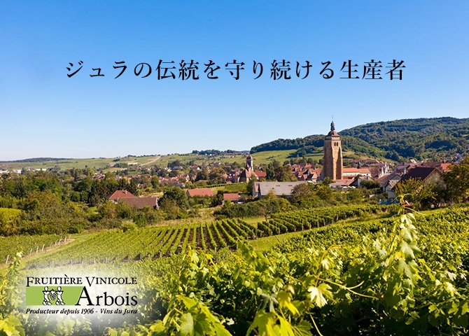フリュイティエール・ヴィニコル・ダルボワトップ画像