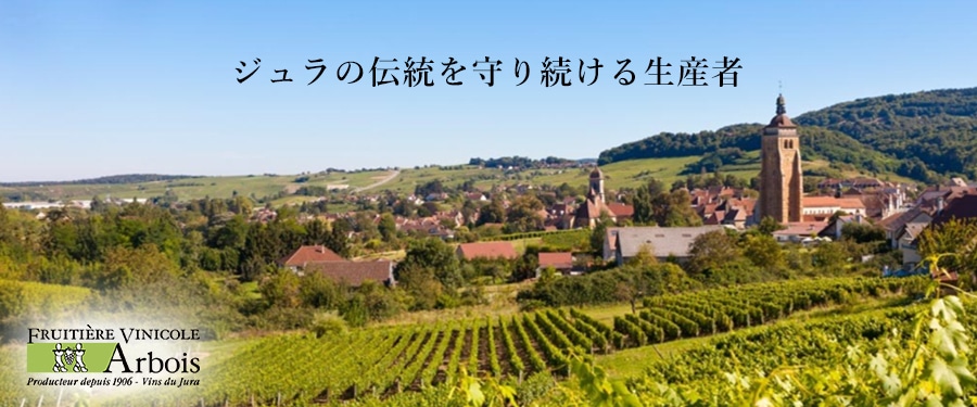 フリュイティエール・ヴィニコル・ダルボワトップ画像