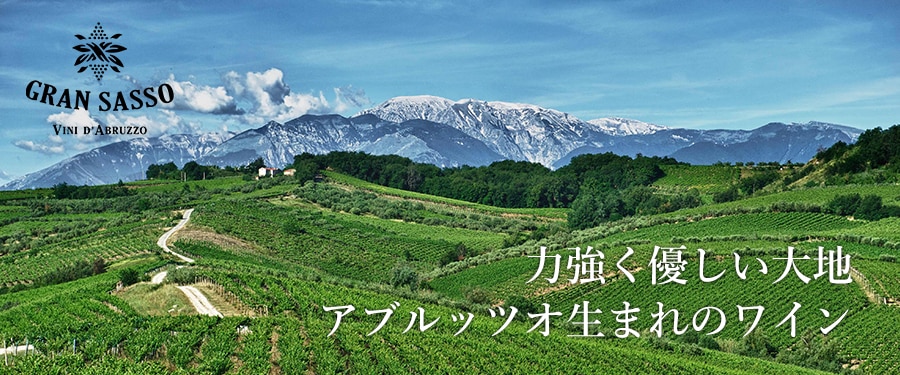 グラン・サッソ｜Your Cellar（ユアセラー）｜日本リカー公式ワイン通販