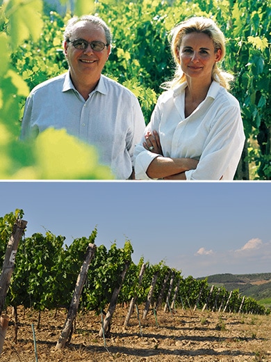 モンサント｜Your Cellar（ユアセラー）｜日本リカー公式ワイン通販