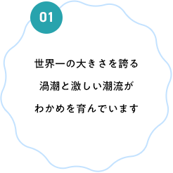 世界一の大きさを誇る渦潮と激しい潮流がわかめを育んでいます
