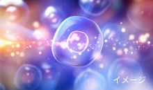 夢幻の舞｜潤いと艶のエイジングケアシリーズ｜DNラボ（ASKA）公式通販​