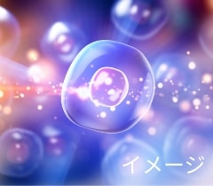 夢幻の舞｜潤いと艶のエイジングケアシリーズ｜DNラボ（ASKA）公式通販​