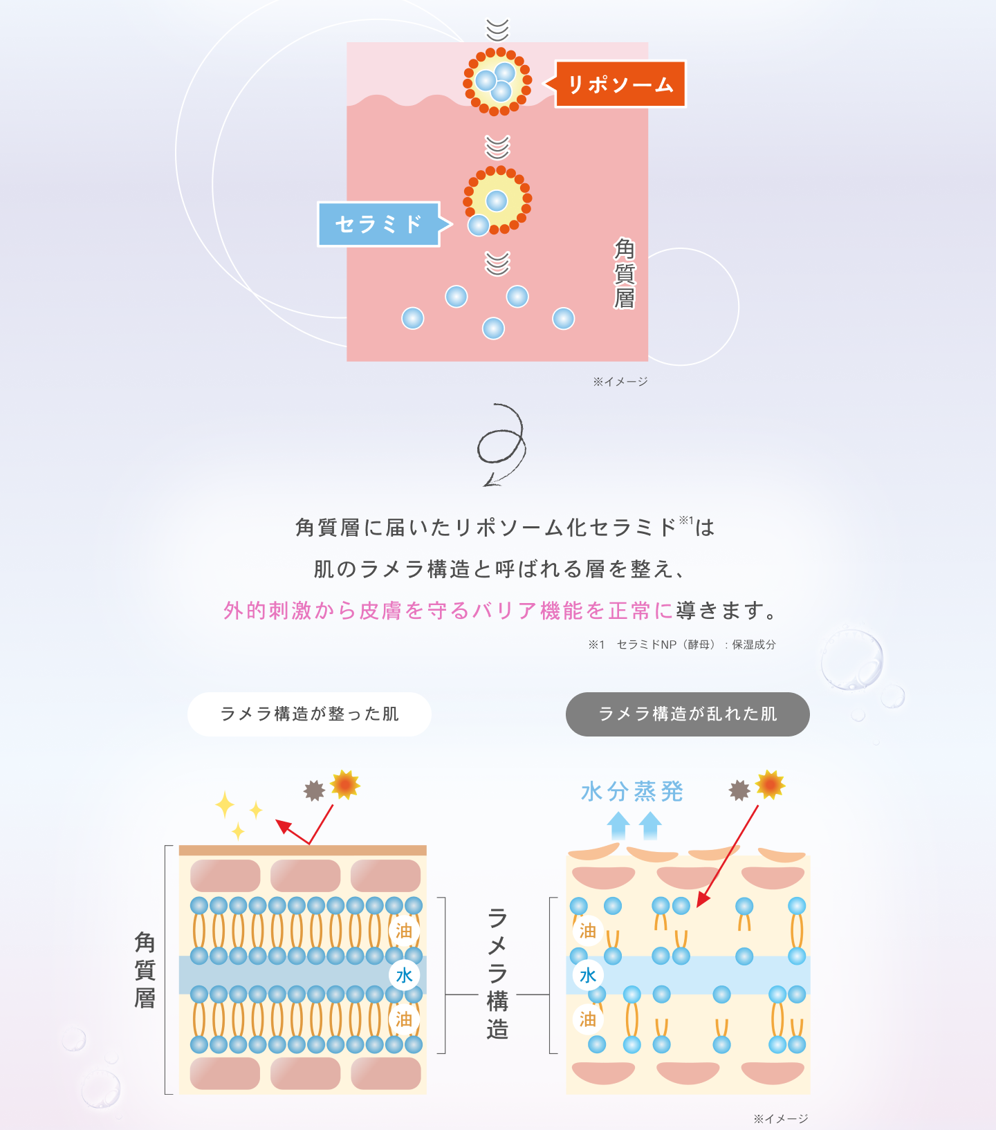 ヒューマニズム バブルエッセンス｜泡状×美容液の新感覚