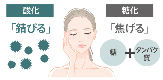 nPSニュートロン｜最高峰エイジングケアの根幹ケアシリーズ｜DN