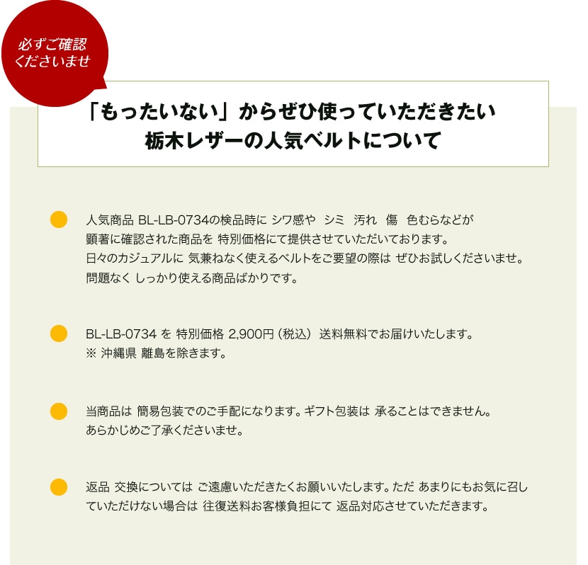 ���ߡ����졢�����ʤɤ������˳�ǧ���줿���ʤǤ�