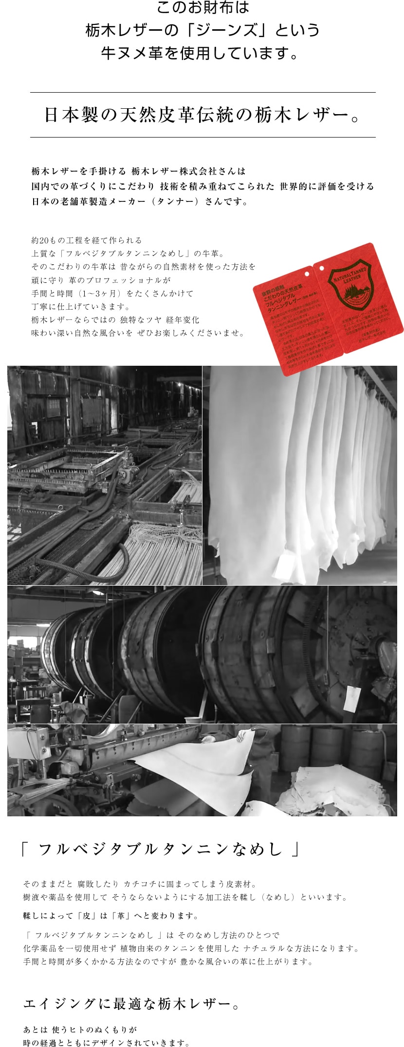 �ե�٥����֥륿��˥�ʤᤷ�ε���