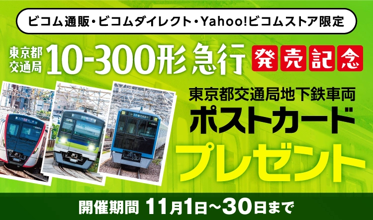 11月のキャンペーン