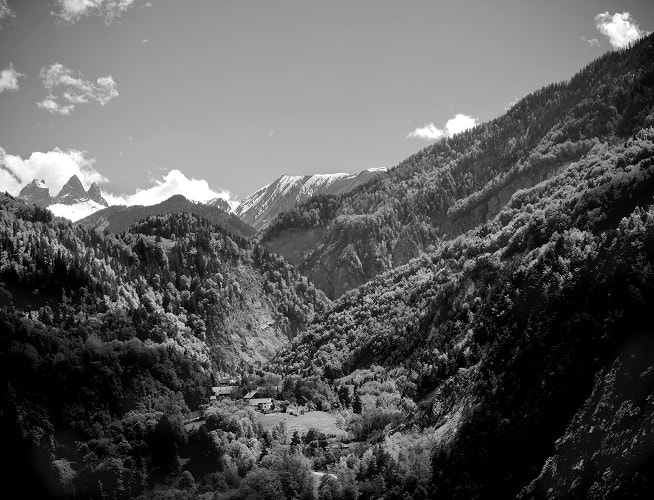 フランスの森林