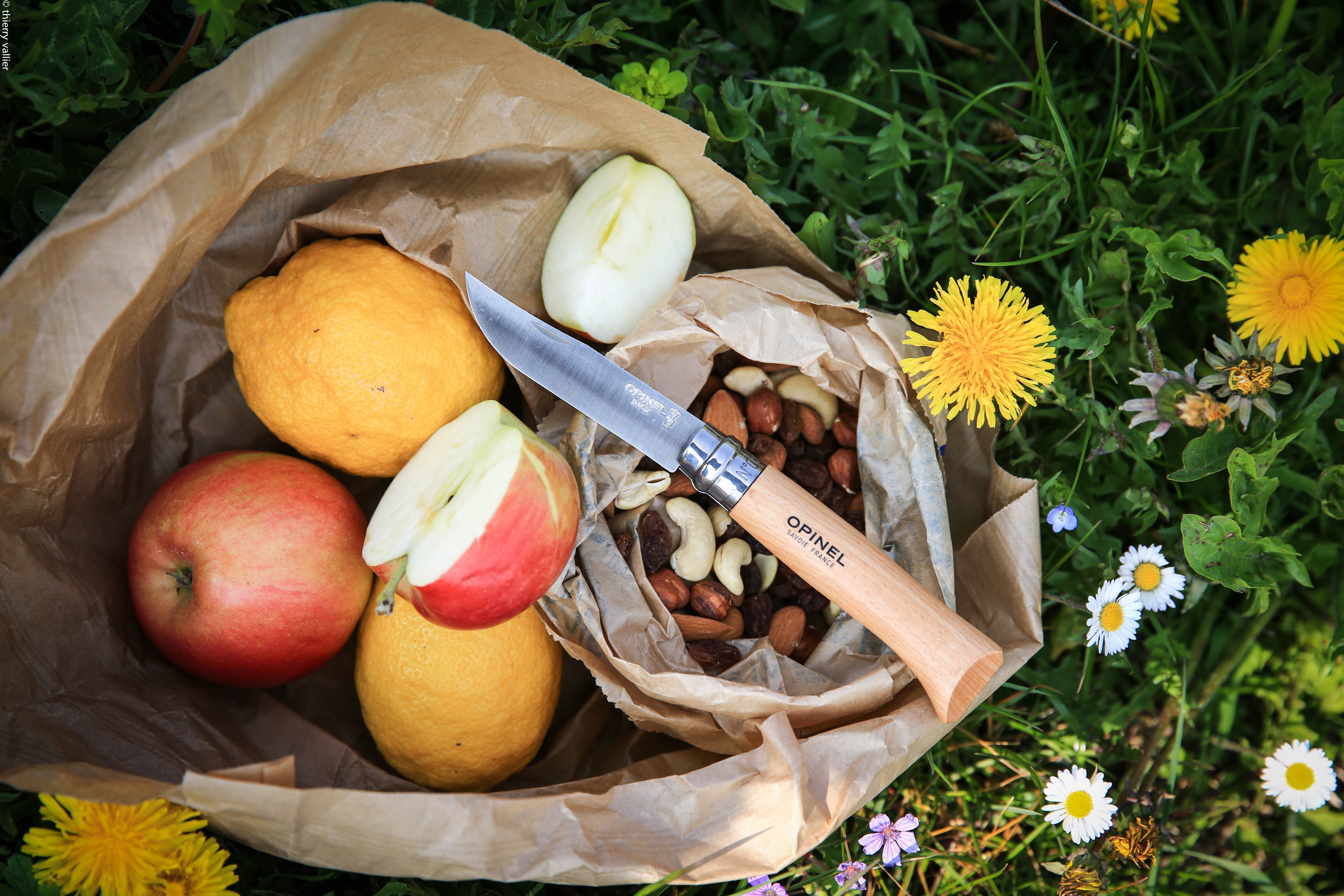 【asimocrafts × TOPO DESIGNS】オピネル　No.8 asimocrafts × TOPO DESIGNS】オピネル No.8 Topo Designs x