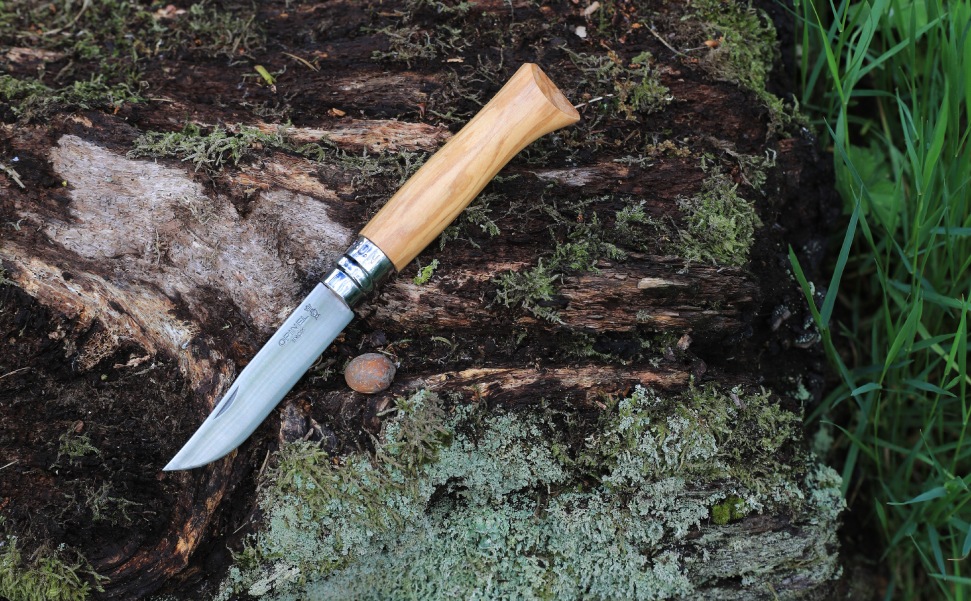 オリーブイメージ01