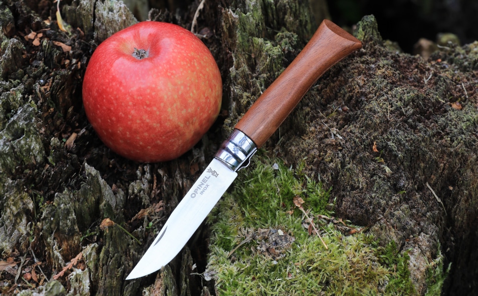 ウォルナット＿01