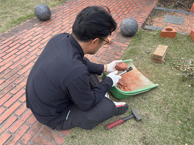 暮らしの中に置かれたレンガと観葉植物