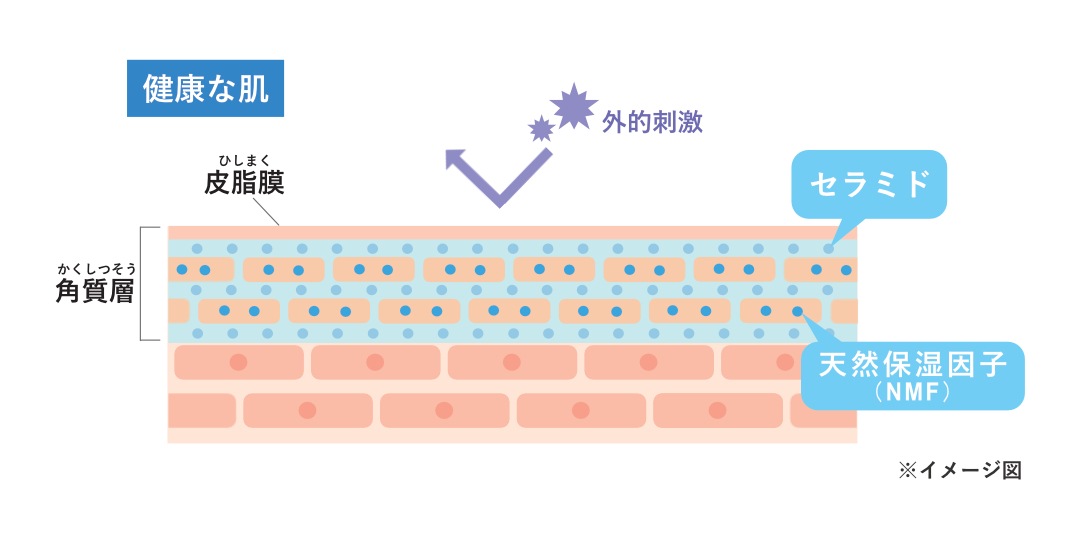 健康な肌