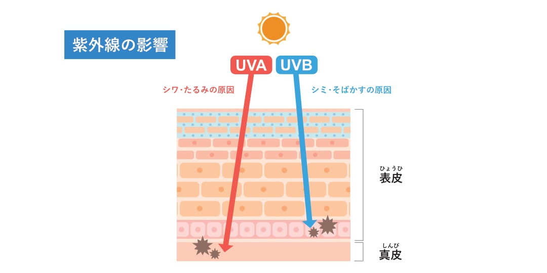 紫外線の影響