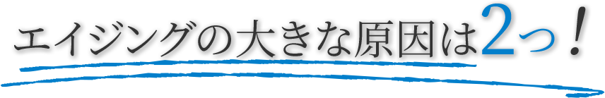 エイジングの大きな原因は2つ