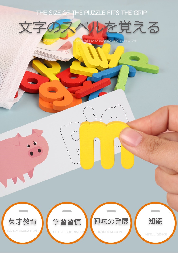 �ե������� �ץꥶ���֥ɥե� �ۥ磻��