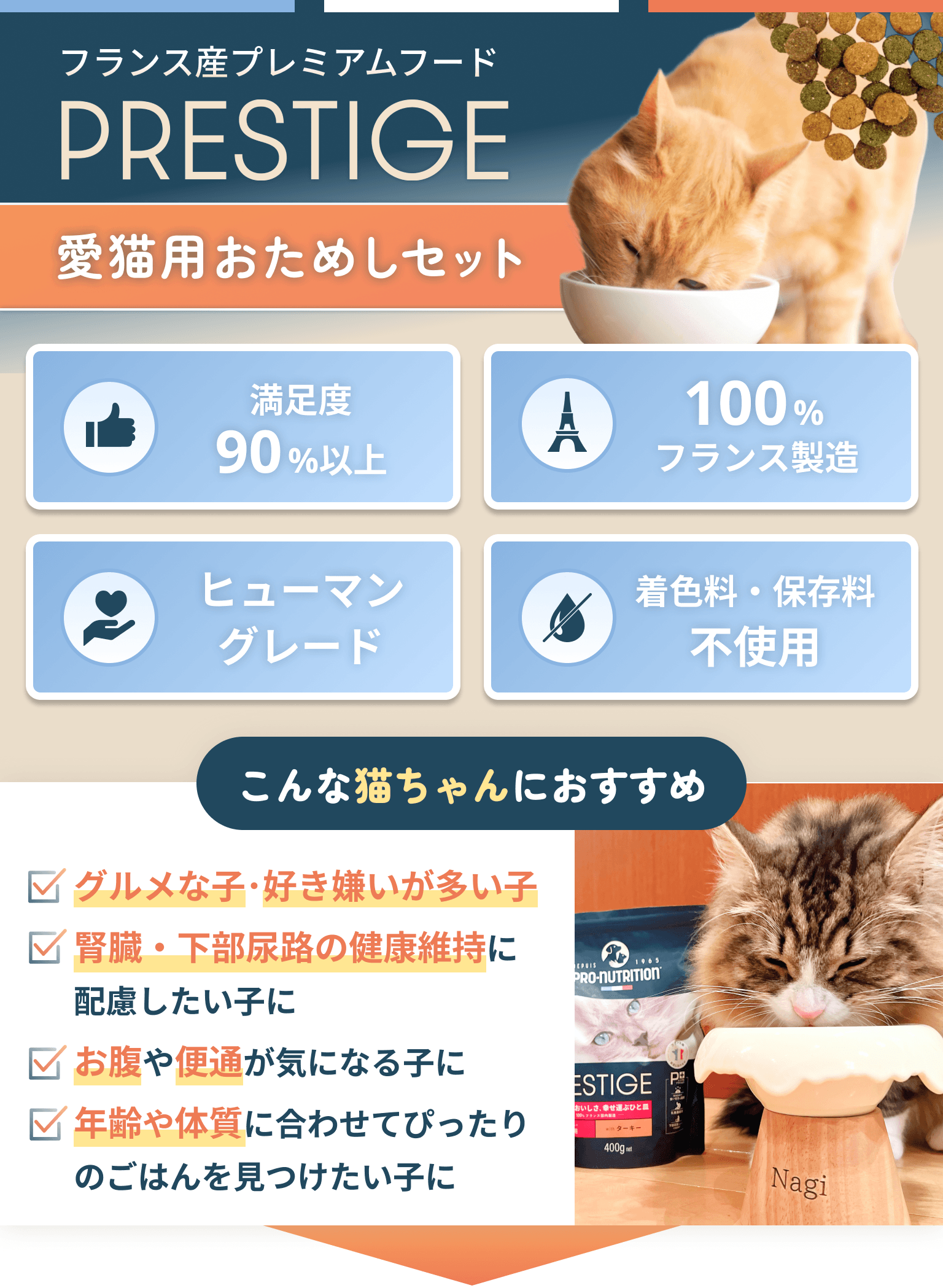お試しセット