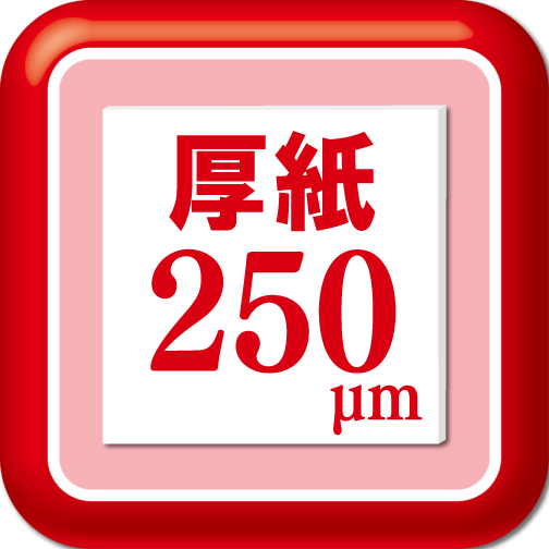 厚紙対応250μm