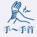 手~手首