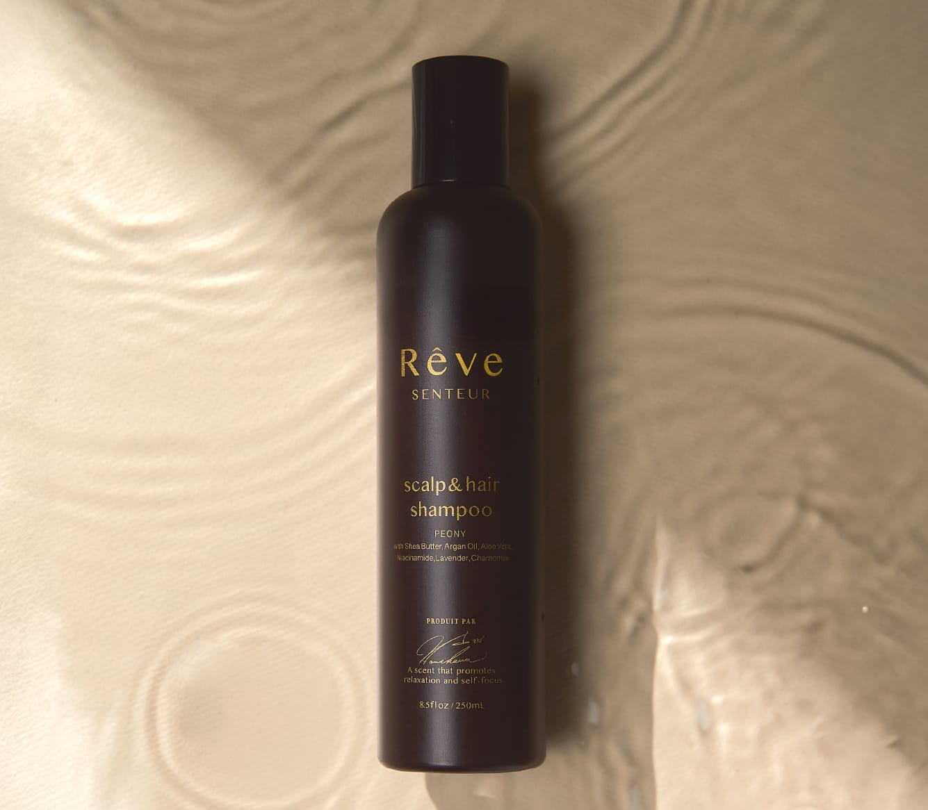 公式】Reve（レーヴ） |