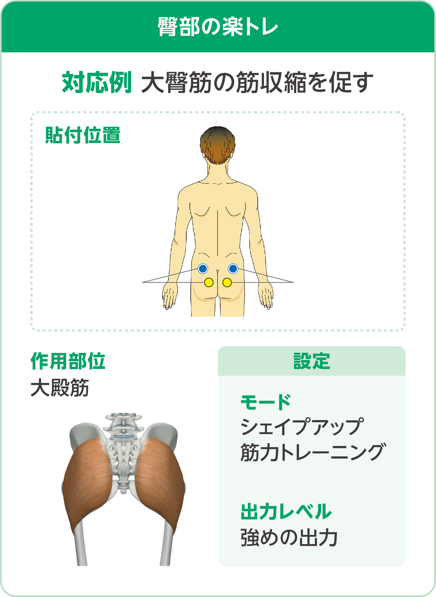 おうちでトレーニング】複合高周波EMS機器「Di」でできる楽トレを公開しました