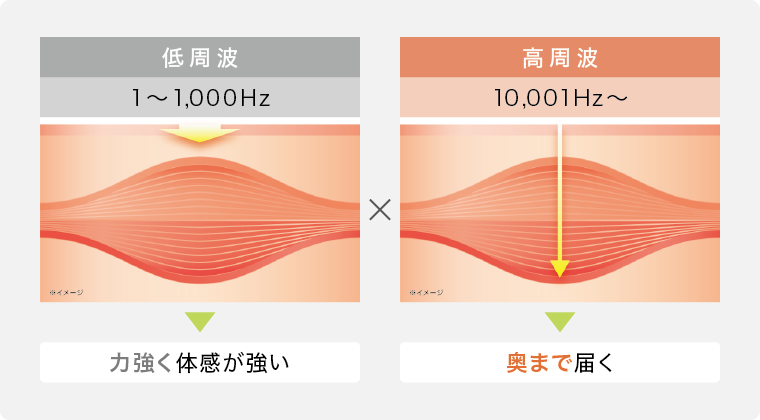 複合高周波EMS「Di（ディーアイ）」 | すべて | リッコーオンライン