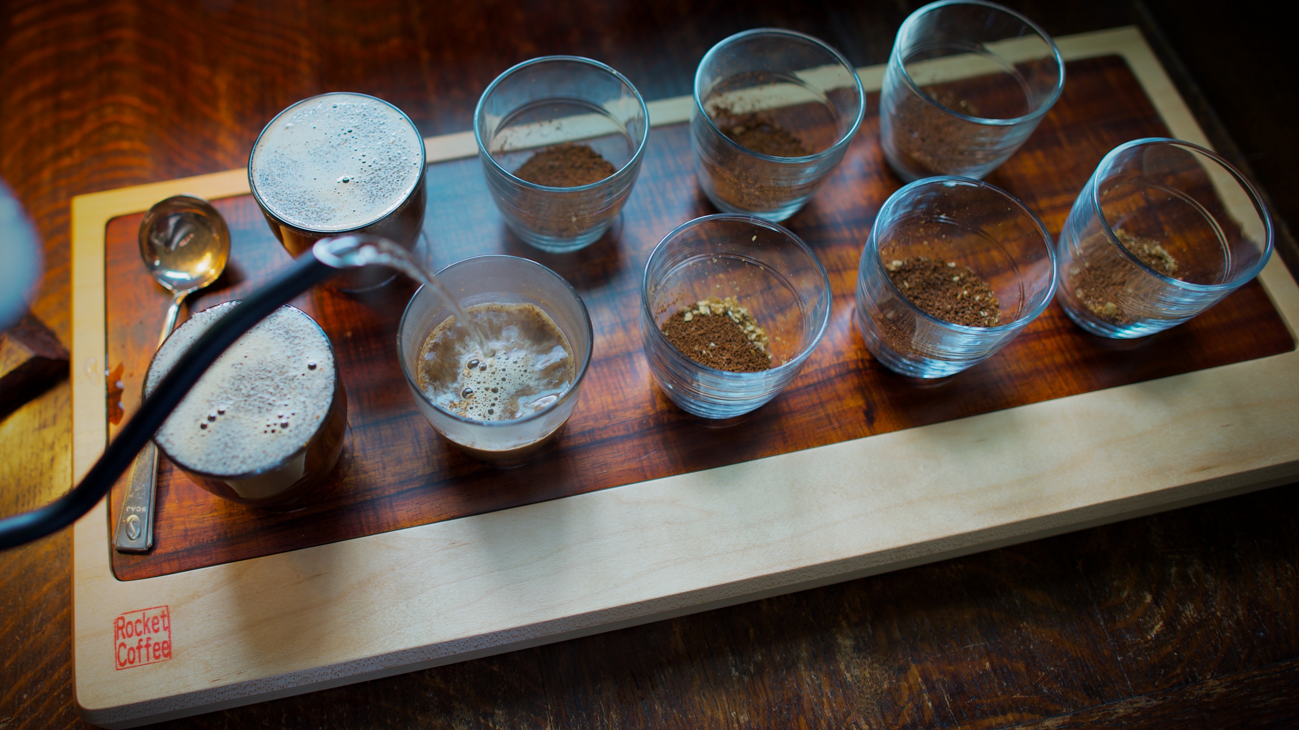 Q Arabica Grader Cupping