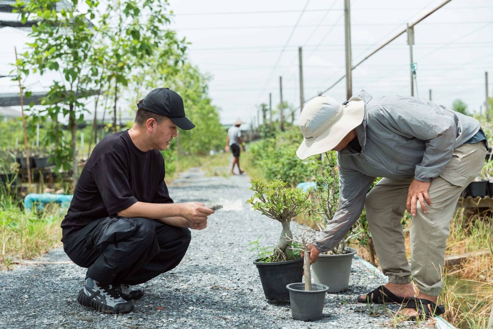 海外現地での植物買い付けの様子