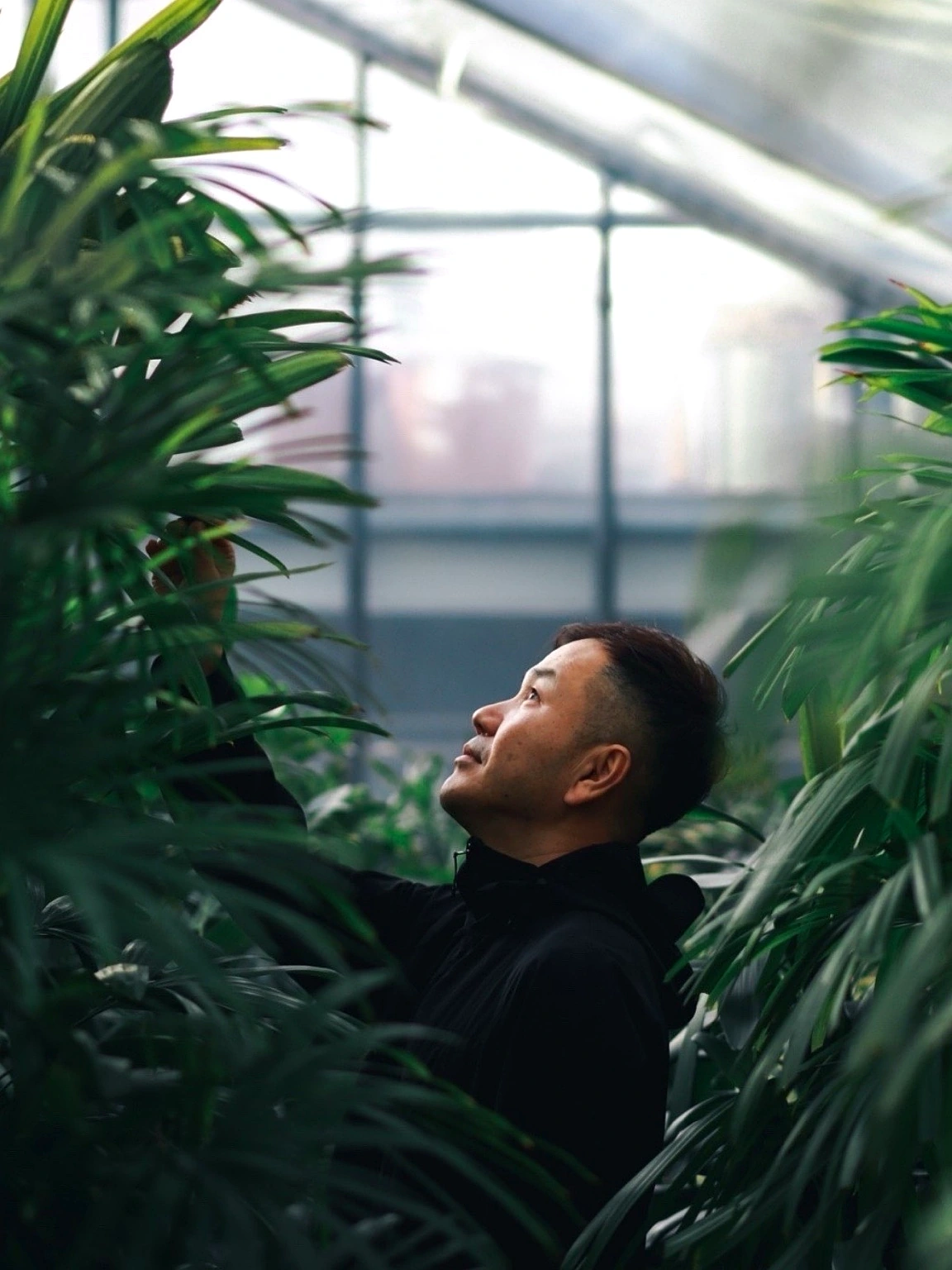 海外植物バイヤー 竹岡