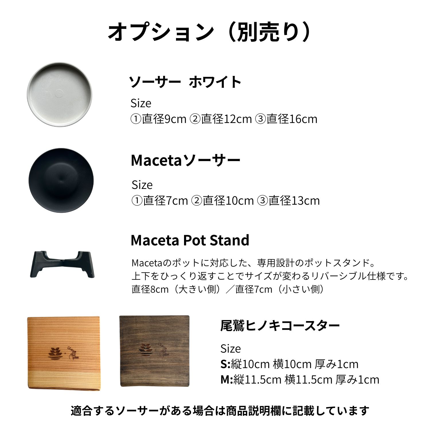 アロカシア スカルプラム｜希少なメタリックリーフのジュエル