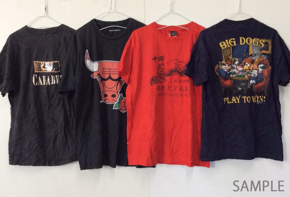 半袖Tシャツの入荷サンプル(BULLS・BIG DOGSなどのプリント)