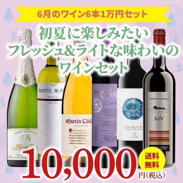 最大41％OFF・送料無料》ワインアドバイザーセレクト!／6月におすすめ ...