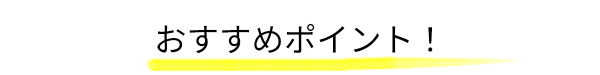 おすすめポイント