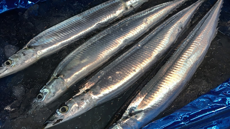 ✨ サンマ✨ Zanmai Ultimate Aranami 7