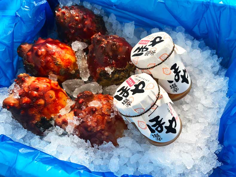 三陸朝採り特大ホヤ、ホヤ塩辛セット | ほや | 東北うまいもの市場