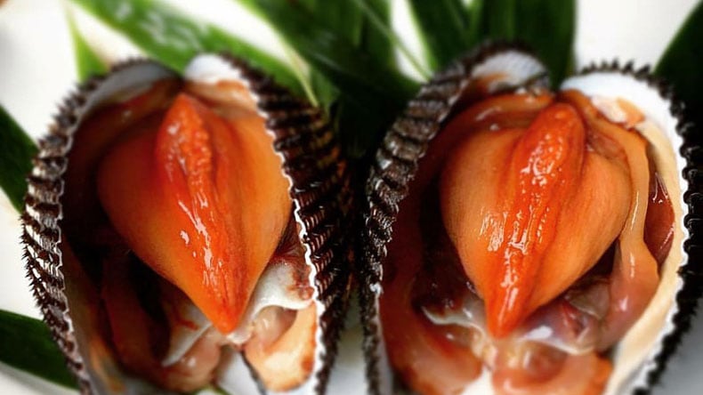 赤貝 Hands-On - The New Zenith Defy Revival A3691 Burgundy Dial