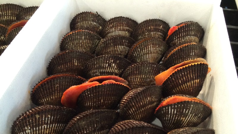 赤貝 閖上赤貝 1kg（約10個前後） | 貝類 | 東北うまいもの市場