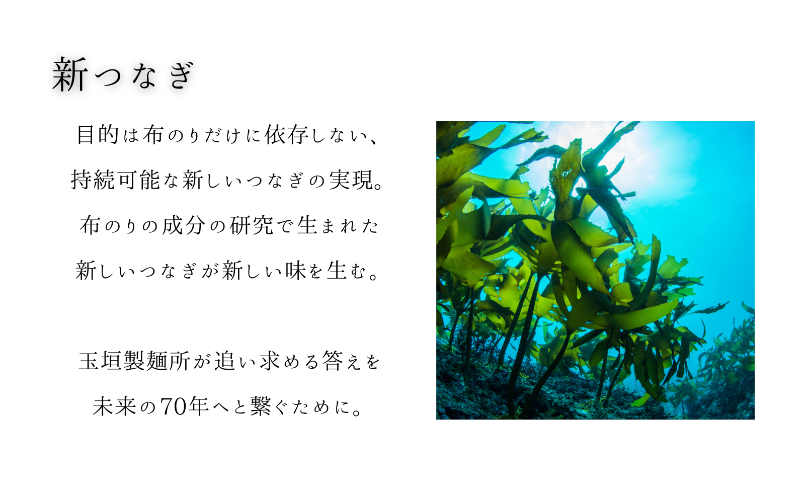 新製法2