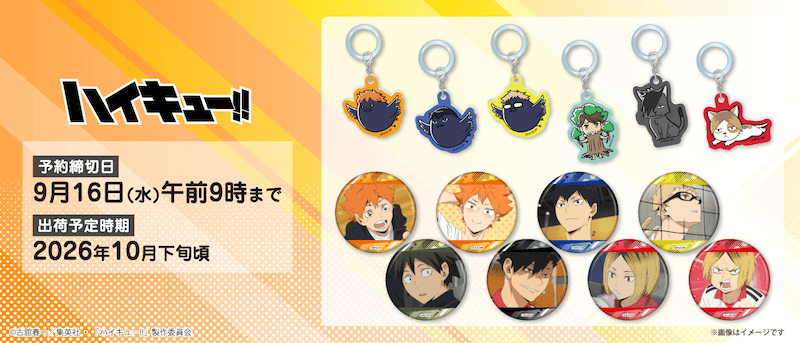 ハイキュー!! シャインシリーズ キラキラ缶バッジVol.2 日向翔陽