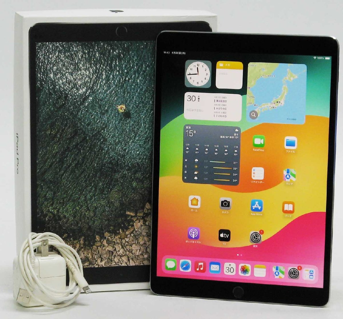 iPad Pro MQDT2J/A ��1���� Wi-Fi���f�� 64G iPadOS17.7.10 ���� Macintosh �^�u���b�g #40
