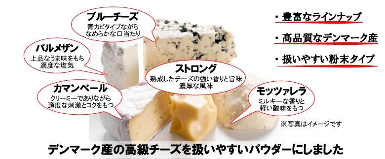 高品質のデンマーク産チーズパウダー Cheesebon