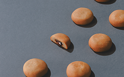 東京カラメリゼミルクレーヌ