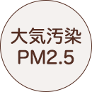大気汚染PM2.5