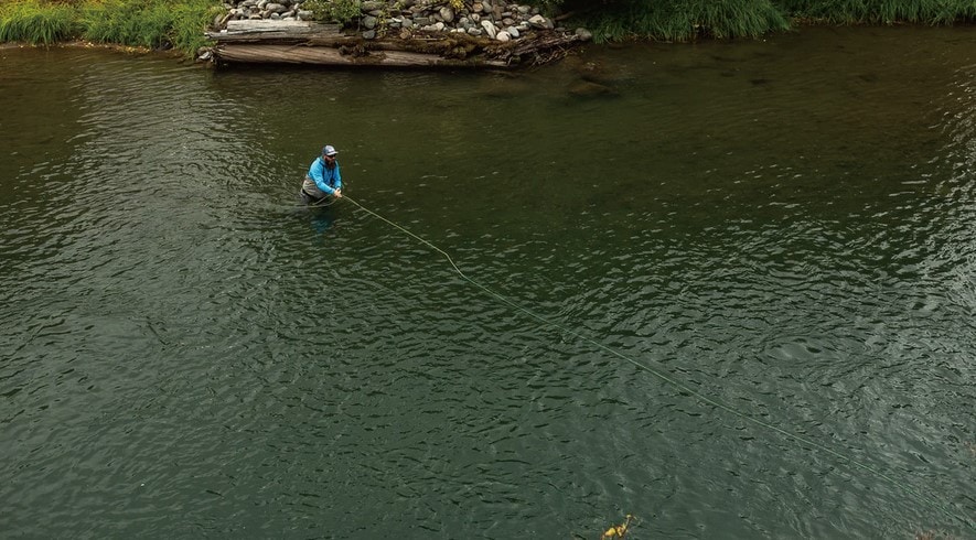 Sage セージ　IGNITER イグナイター　890-4 SAGEイグナイター - 加藤毛ばり店